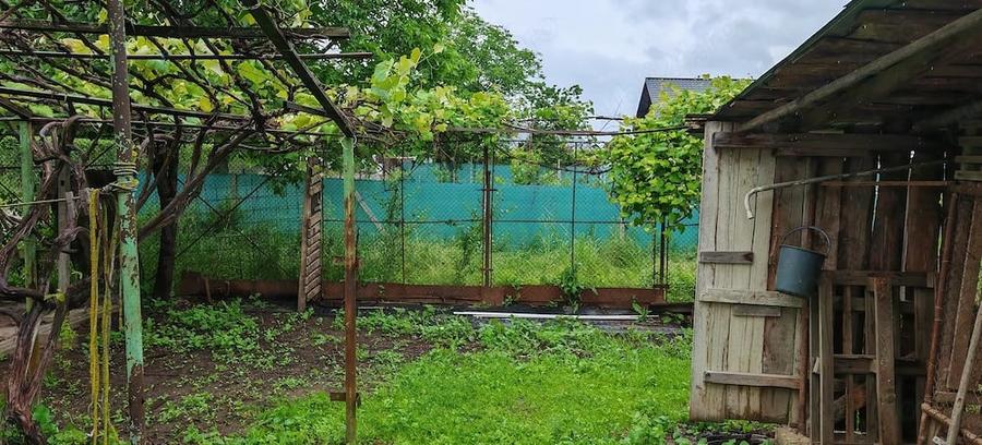 Teren de 3000 mp, în Plăieșu
