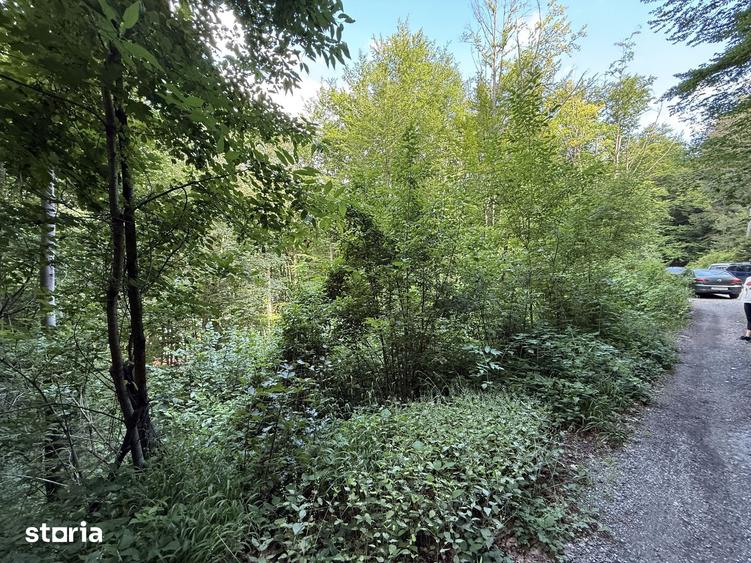 Teren de 338 mp, în Central