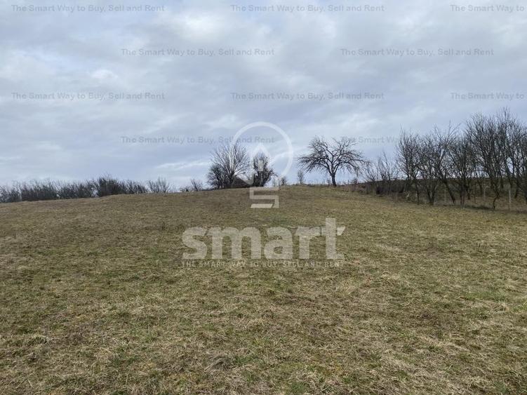 Teren intravilan de 5400 mp, în Săvădisla