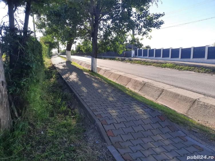 Proprietar intravilan in ?igana?i la strada principala - 7