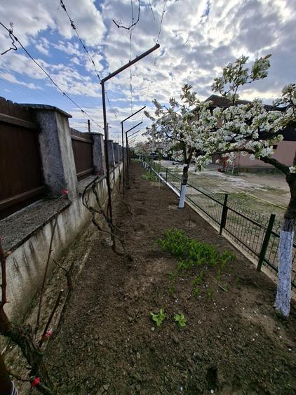 Casă cu 4 camere în Hinova