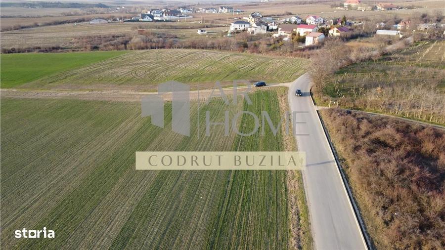 Teren intravilan 2500mp, Bucov - 3