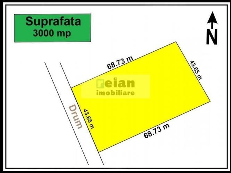 Teren de 3000 mp, în Mogoșoaia