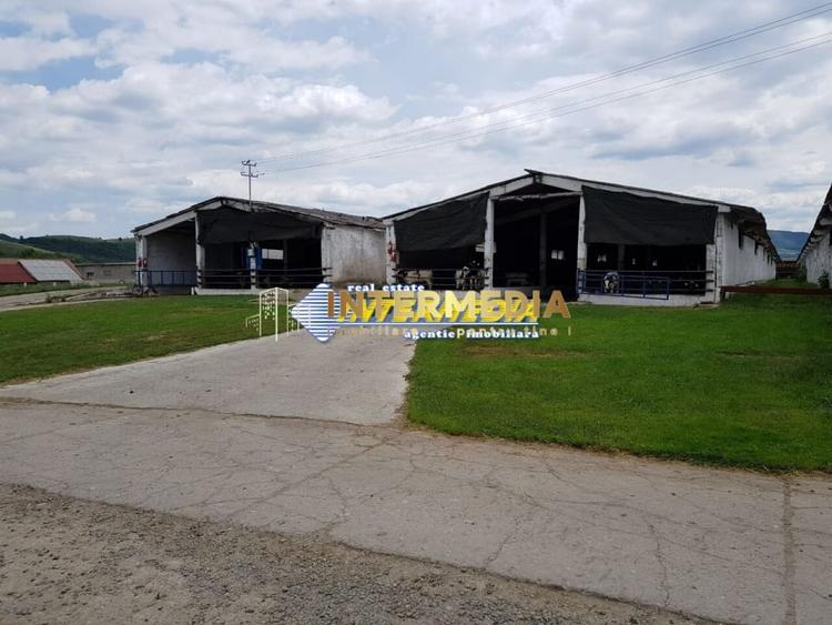 Casă individuală cu 20 camere cu Teren 35000 Mp în Pianu