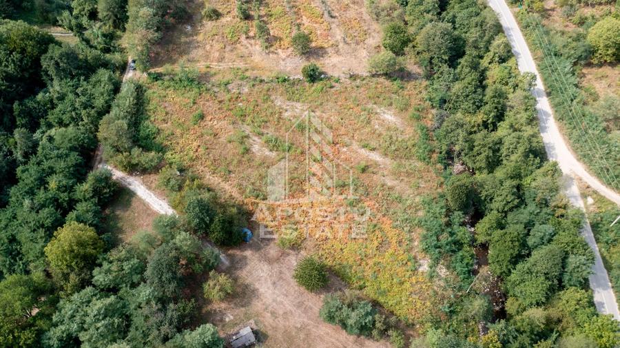 Teren agricol extravilan de 5000 mp, în Borlova