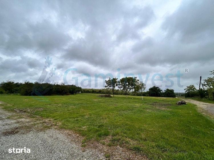 Teren de 993 mp, în Sântandrei