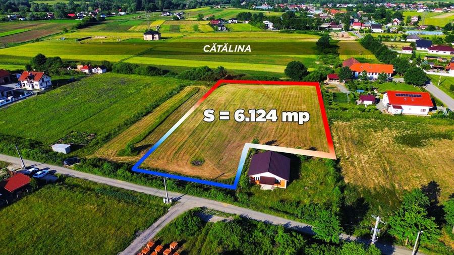 Teren Construcții intravilan de 6200 mp, în Coltău