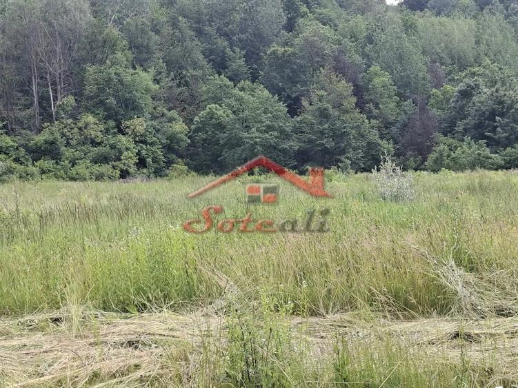 Teren de 16949 mp, în Cornu