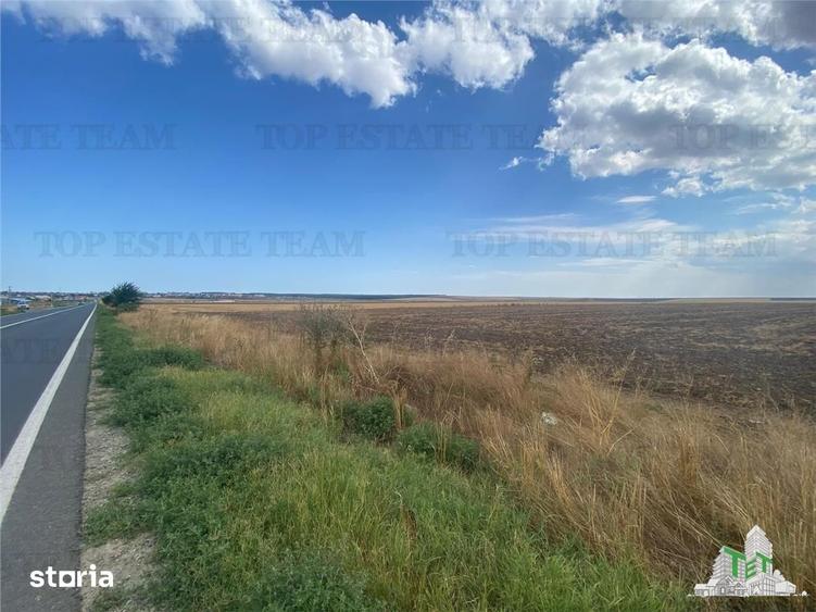 Teren de 24250 mp, în Mihail Kogălniceanu