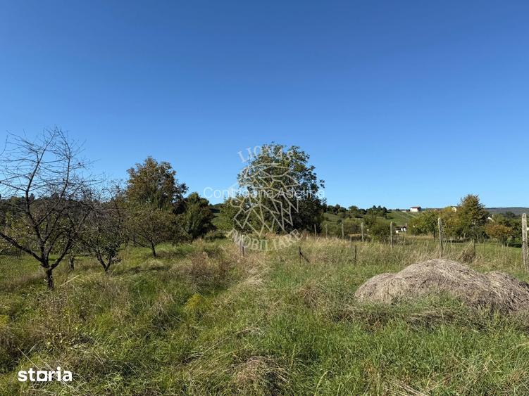Teren intravilan 965 mp-imprejmuit-ideal casa-Livezile