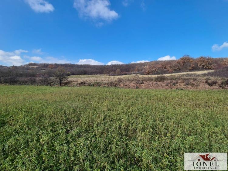 Teren Construcții intravilan de 1700 mp, în Ampoița