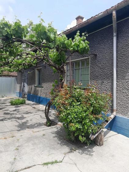 Casă cu 2 camere cu Teren 2880 Mp în Mișca