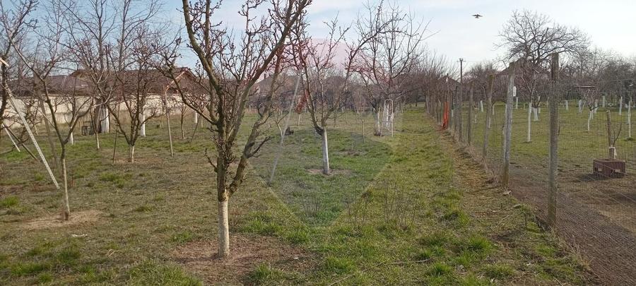 Teren Construcții intravilan de 2954 mp, în Vladimirescu