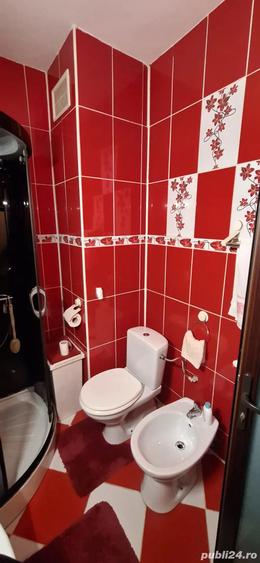 Apartament cu 2 camere decomandat în Lotrului