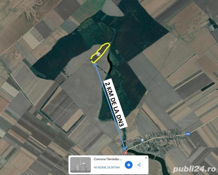 Teren de 46600 mp, în Tămădău Mare