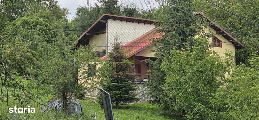 Casă cu 5 camere cu Teren 2200 Mp în Provița de Jos