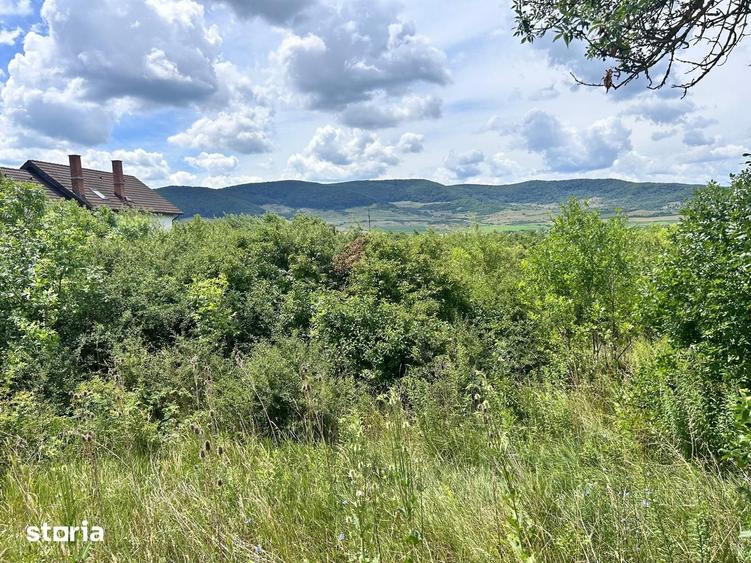 Teren de 1450 mp, în Central