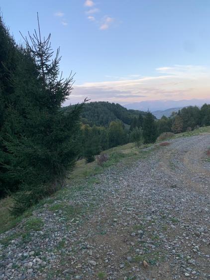 Teren agricol extravilan de 5000 mp, în Glod