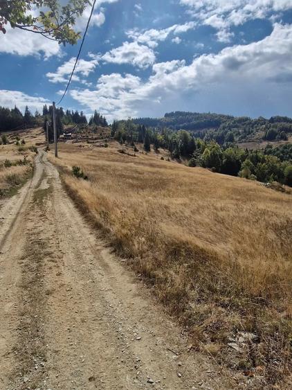 Teren de 10000 mp, în Gârda de Sus