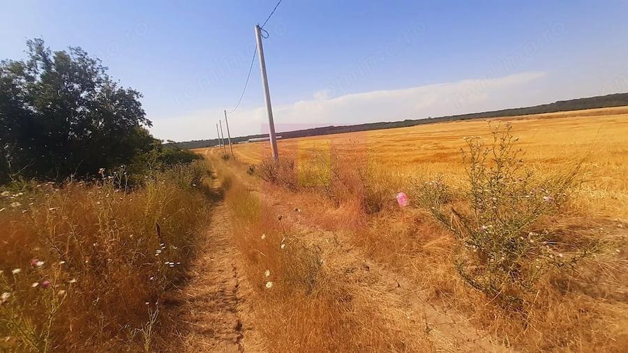 Teren de 2000 mp, în Brănești