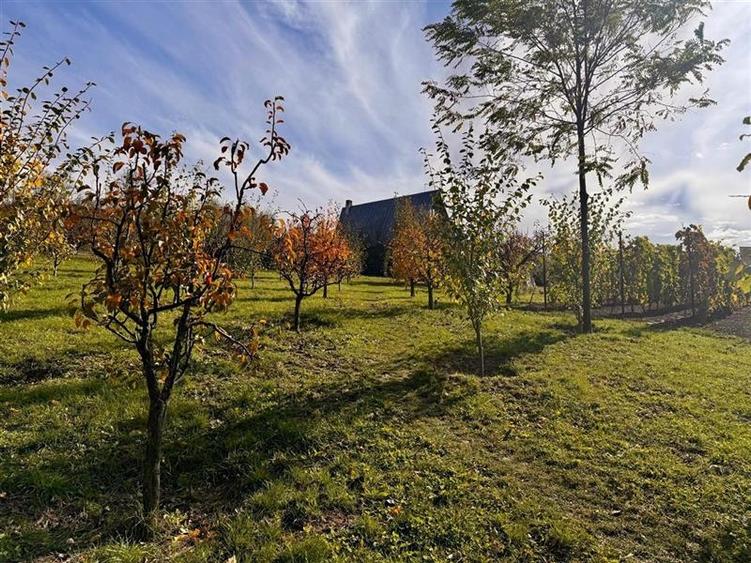 Casă individuală cu 3 camere cu Teren 4000 Mp în Bârnova