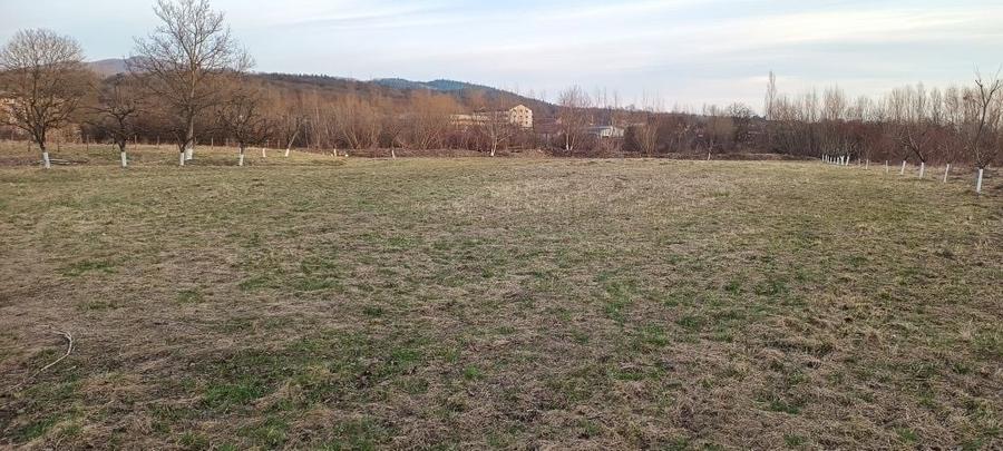 Parcele sau intreg Intabulat ,Intravilan cu Nr de Casa ,drum Privat 4600 mp - 2