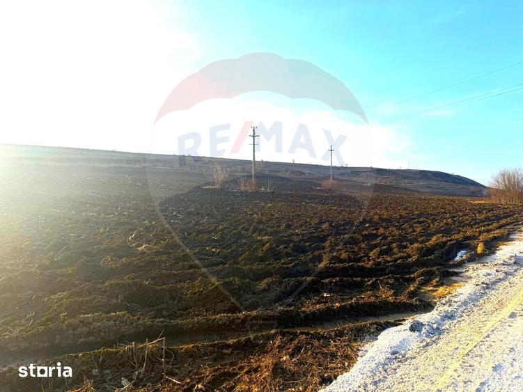 Teren de 4956 mp, în Calea Bârladului