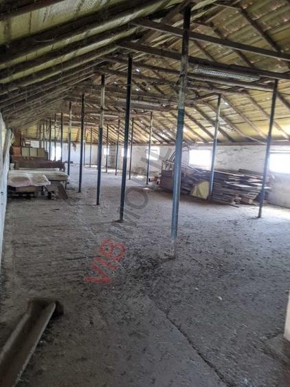 Ferma Zootehnică– Satchinez,  | 9,5 ha teren,vanzare sau schimb pentru jumatate - 12