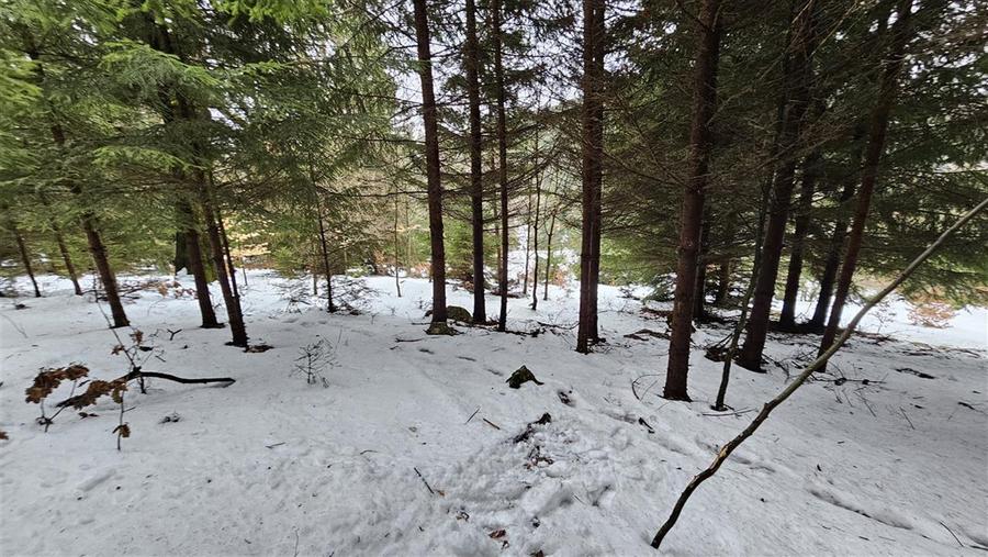 Teren extravilan de 4900 mp, în 13 Decembrie