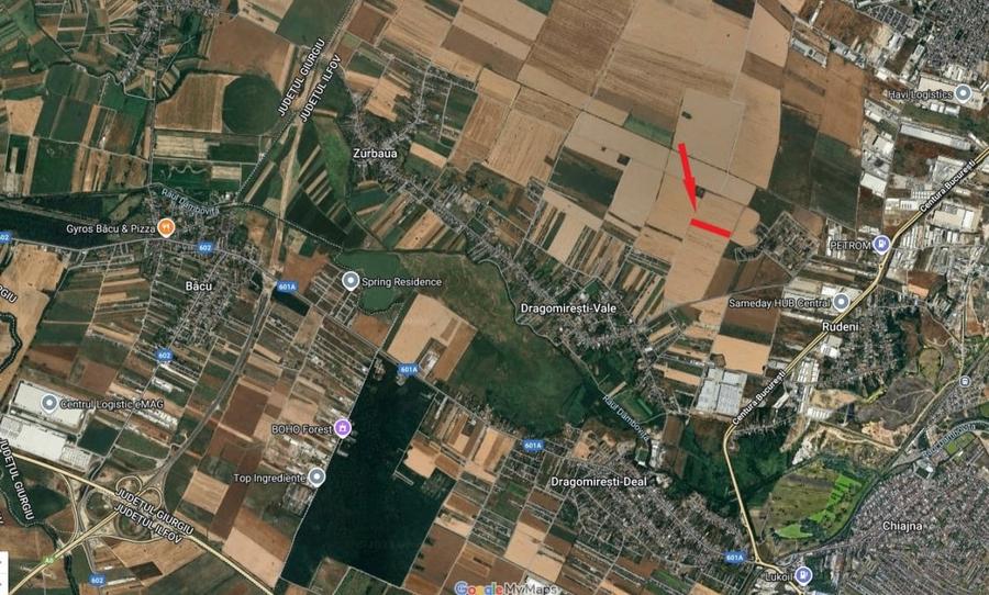 Teren agricol extravilan de 10000 mp, în Dragomirești-Vale