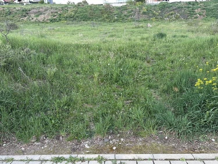Teren Construcții intravilan de 2900 mp, în Cetate