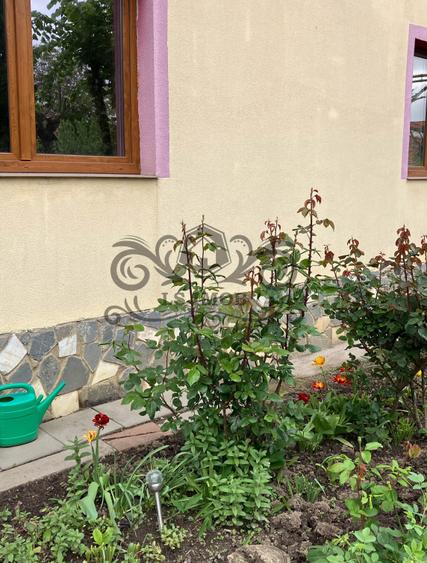Birou, de 80 mp, în Florilor