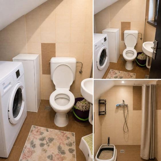 Casă cu 3 camere cu Teren 540 Mp în Vidra