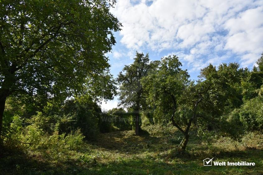 Casă individuală cu 2 camere cu Teren 1547 Mp în Gheorghieni