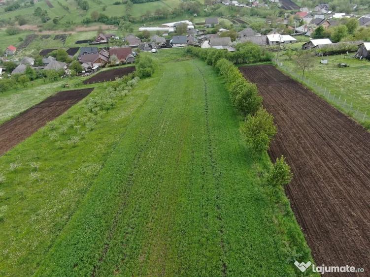 Teren de 5000 mp, în Valea Arini