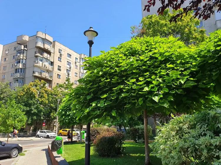 Apartament cu 2 camere decomandat în Sebastian