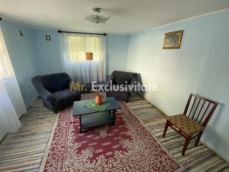 CASA + TEREN 1.002 MP | Stefanesti Valea Mare Enculescu-Arges - 9