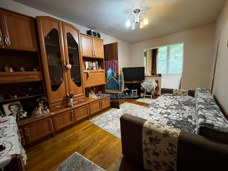 Apartament cu 2 camere semidecomandat în Mureșeni