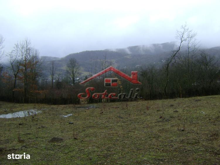 Teren de vanzare in Provita de jos - 10