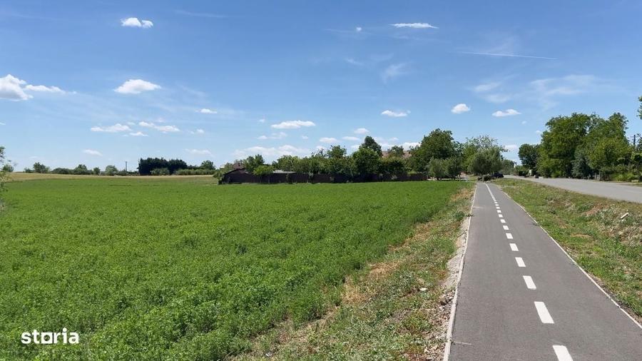 Teren de 8000 mp, în Bodrogu Nou
