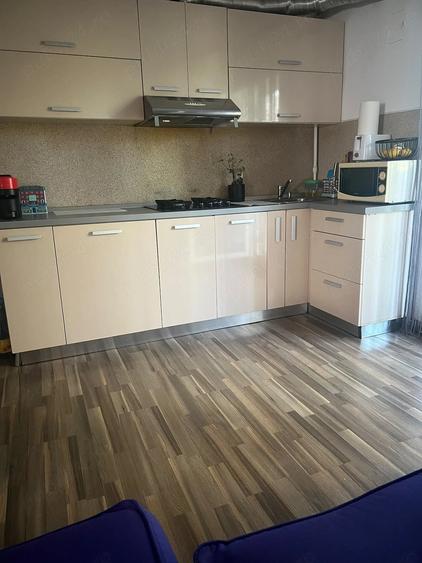 Apartament cu 2 camere decomandat în Bucovina