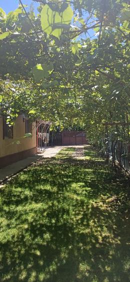 Proprietar vand casa duplex P+M Gradistea Ilfov 230 mp utili, langa padure de salcami, acces rapid la autostrada, mobilata si utilata - 2
