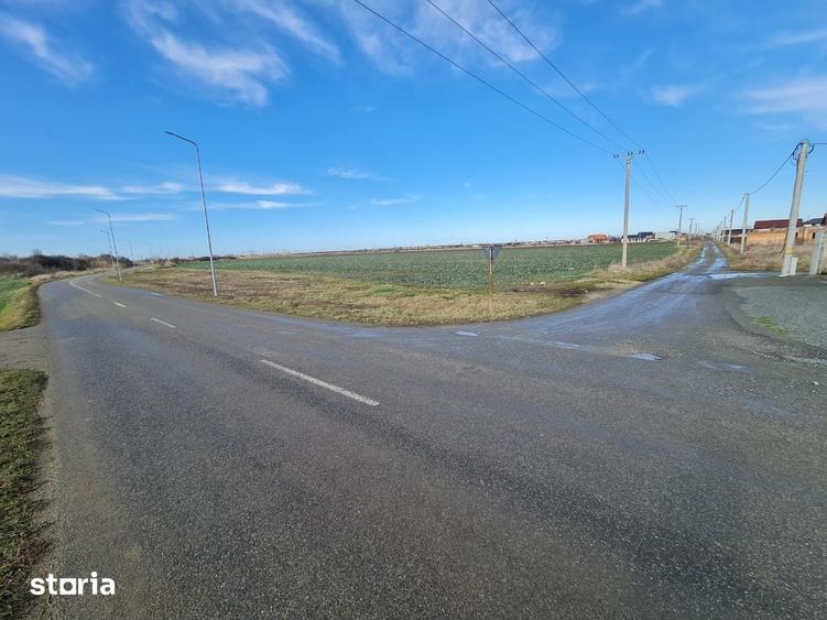 Teren de 790 mp, în Vladimirescu