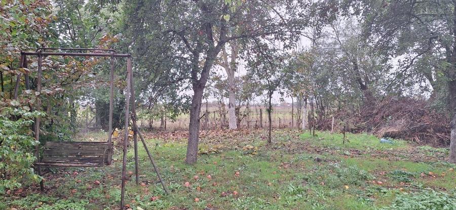 Casă individuală cu 5 camere cu Teren 969 Mp în Bâldana