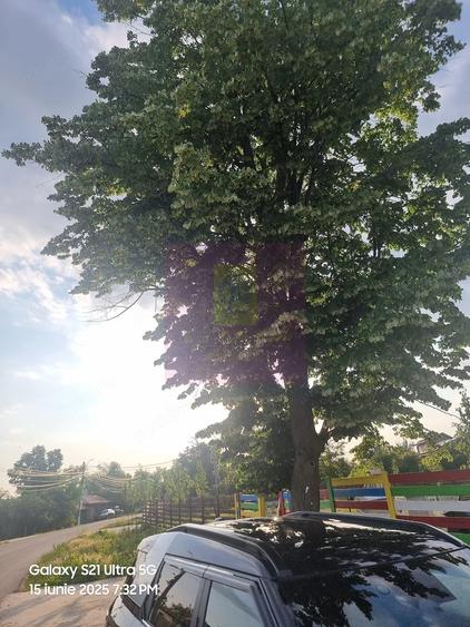 Teren de 2150 mp, în Teișori