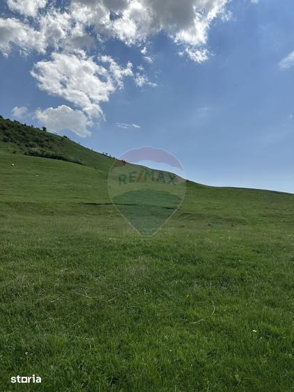 Teren de 1000 mp, în Gârcina