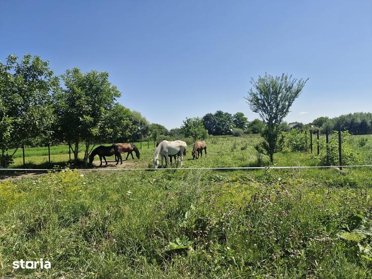 Teren de 1926 mp, în Stupini