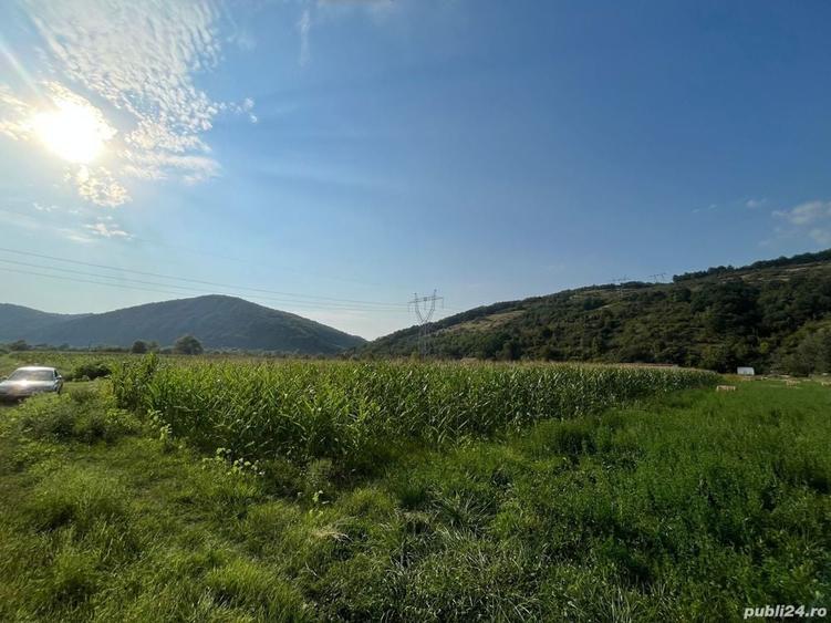 Teren de 2570 mp, în Bejan