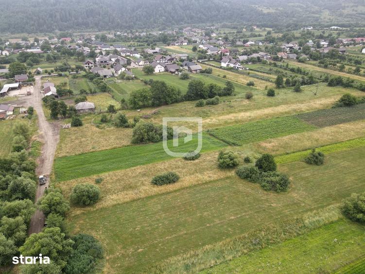 Teren de 3600 mp, în Brusturi