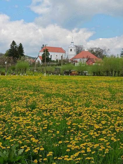 Teren de 2000 mp, în Moacșa